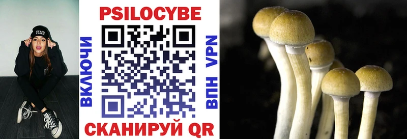 цена наркотик Карабаш Галлюциногенные грибы Psilocybe